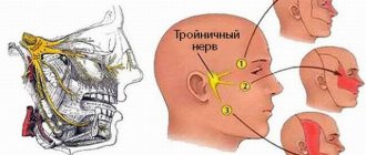Trigeminal nerve