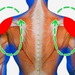 Exercises for neuritis of the facial nerve: gymnastics for the shoulder girdle
