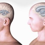 Водянка у врослого