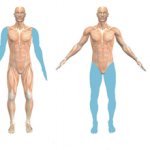 Восстановление чувствительности нервных окончаний