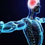 Diseases of the central nervous system