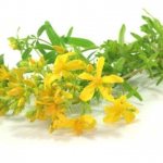 St. John&#39;s wort and depression